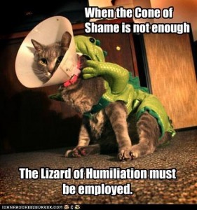 Cone and Lizard